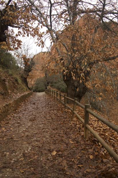 Las Médulas - Bierzo