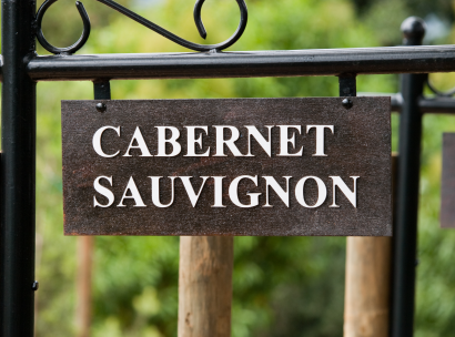 Cabernet sauvignon
