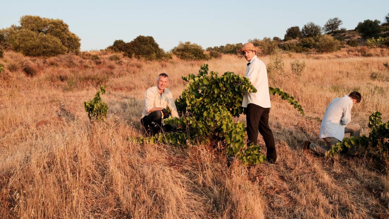 pequeños viticultores